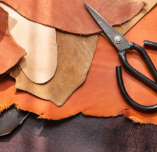 Auswahl von Farbe und Form Foto