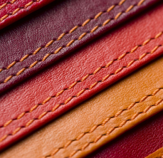 Die Entscheidung fürs Leder Foto